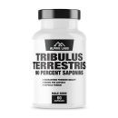 Tribulus-Terrestris_2000
