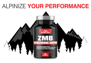 ZMB_Banner