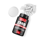 ZMB_Open_2000